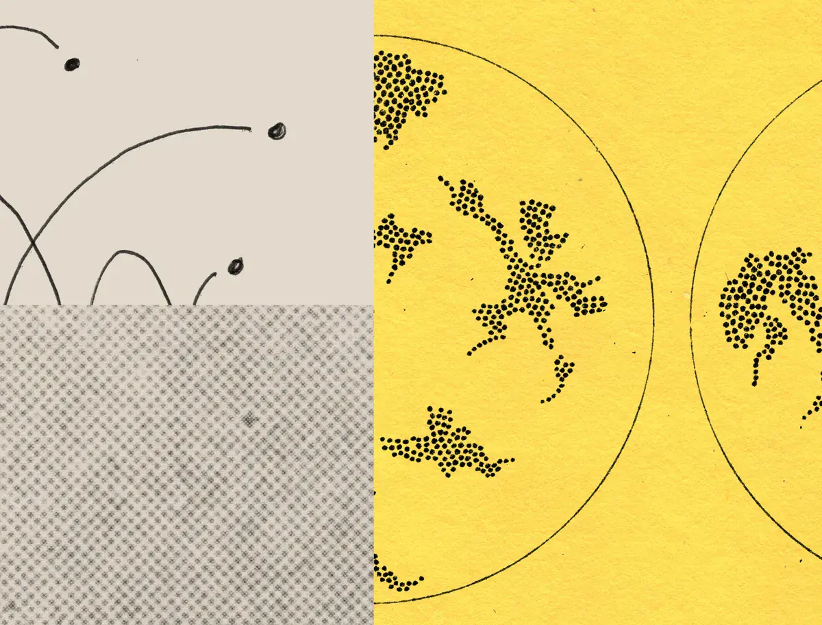 Illustration du prospectus d'Anthropic : des courbes et des points sur fond beige à côté de colonies en pointillé noir sur papier jaune