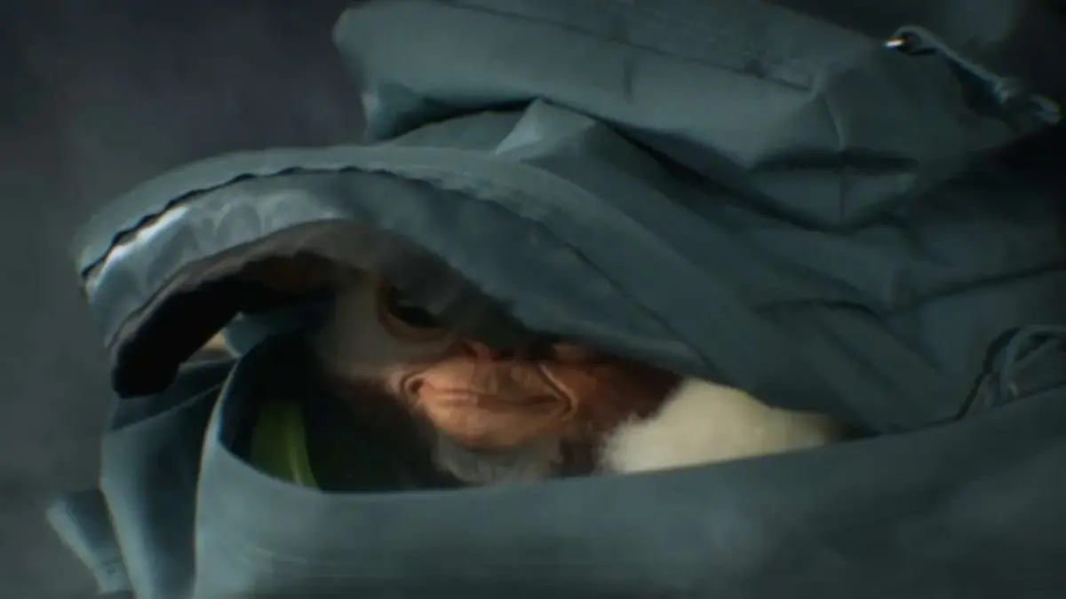 Gremlins Gizm dans un linge