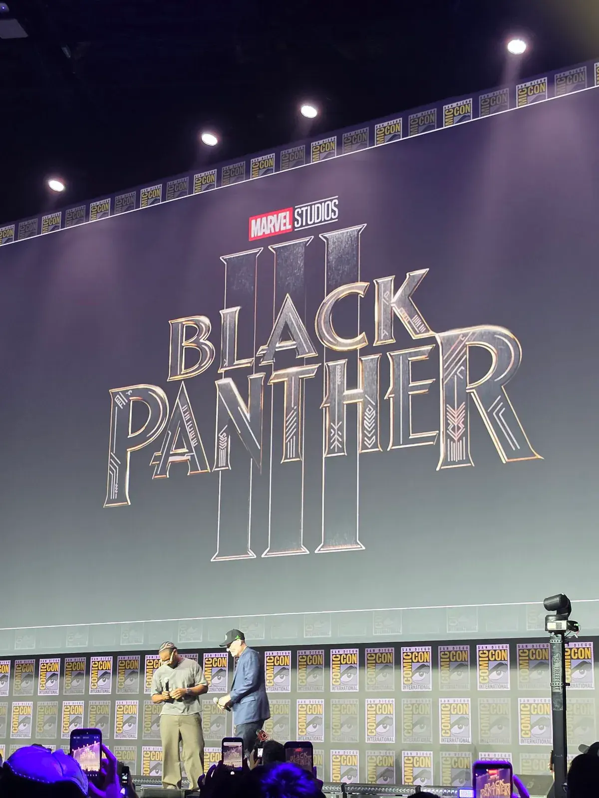 Image - Marvel annonce officiellement black panther