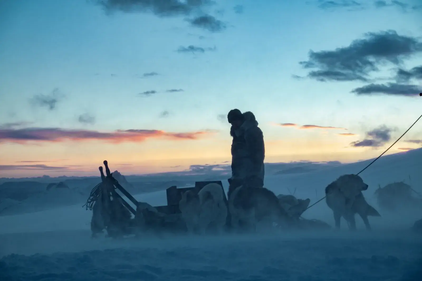 Aventure, expédition et survie : 5 Films récents à voir absolument