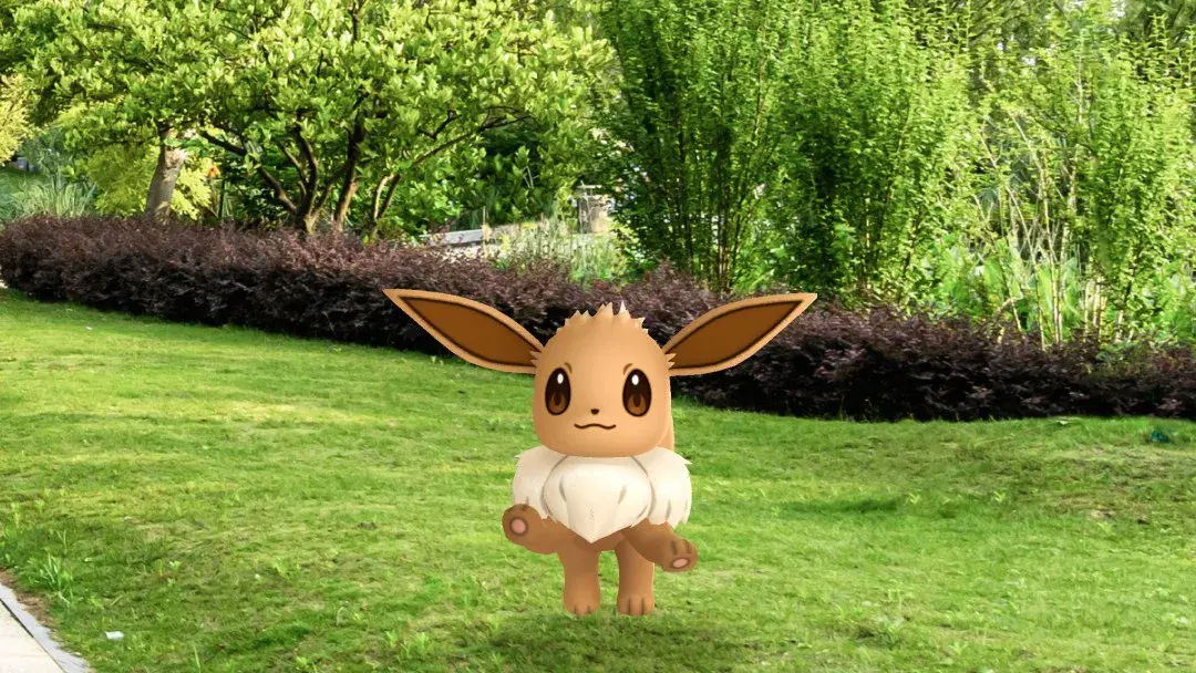 Évoli affiché en réalité augmentée sur une pelouse de parc dans Pokémon GO