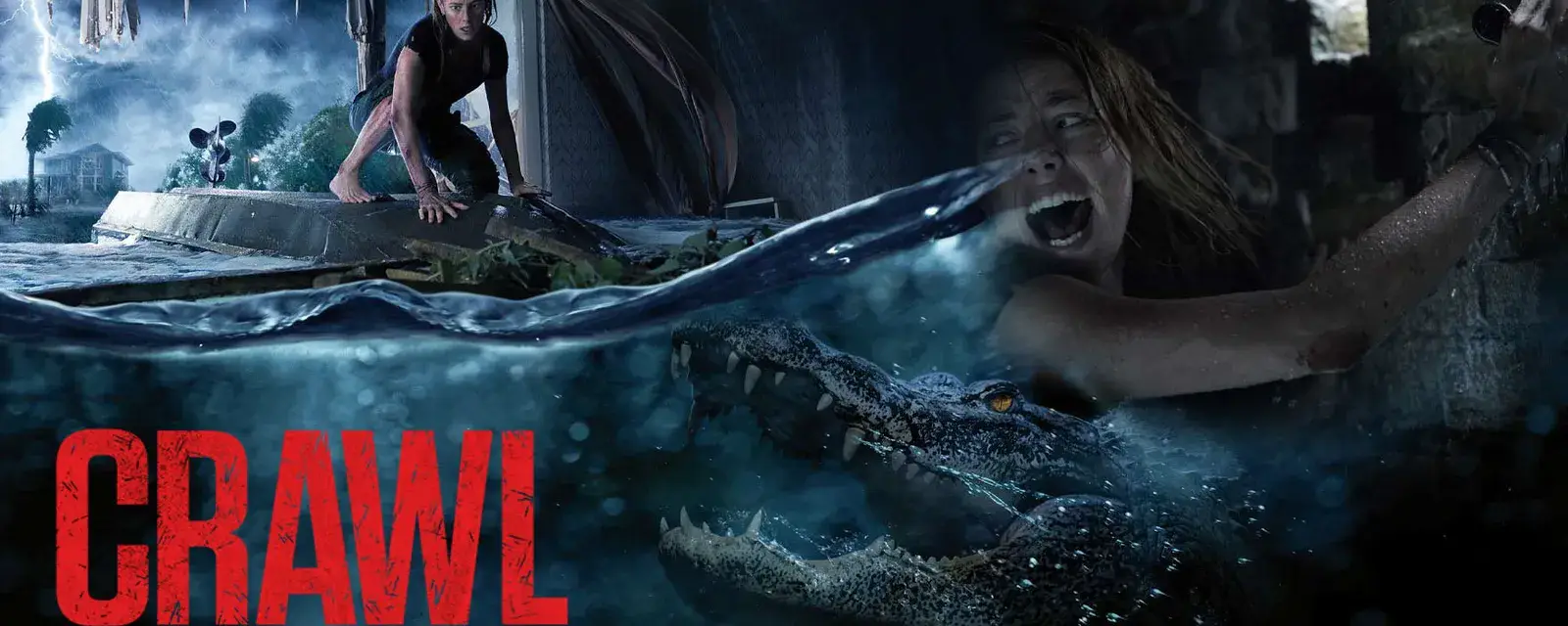 Crawl 2 : Sam Raimi confirme un « nouvel espoir » pour les alligators
