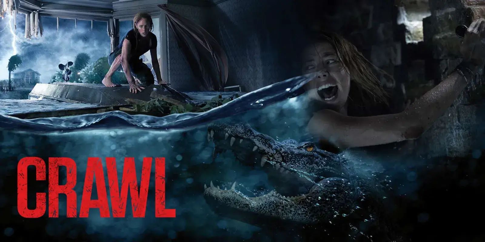 Crawl 2 : Sam Raimi confirme un « nouvel espoir » pour les alligators