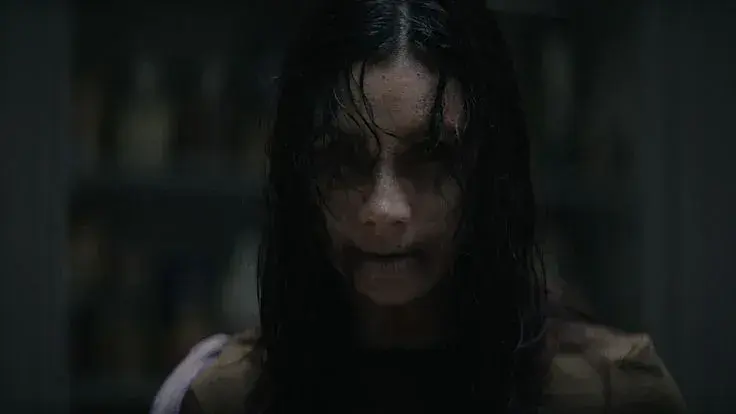 Image - Evil dead burn sebastien vanicek