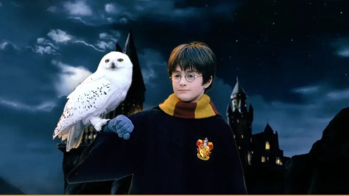 Harry Potter : à quel âge regarder les films avec son enfant ?