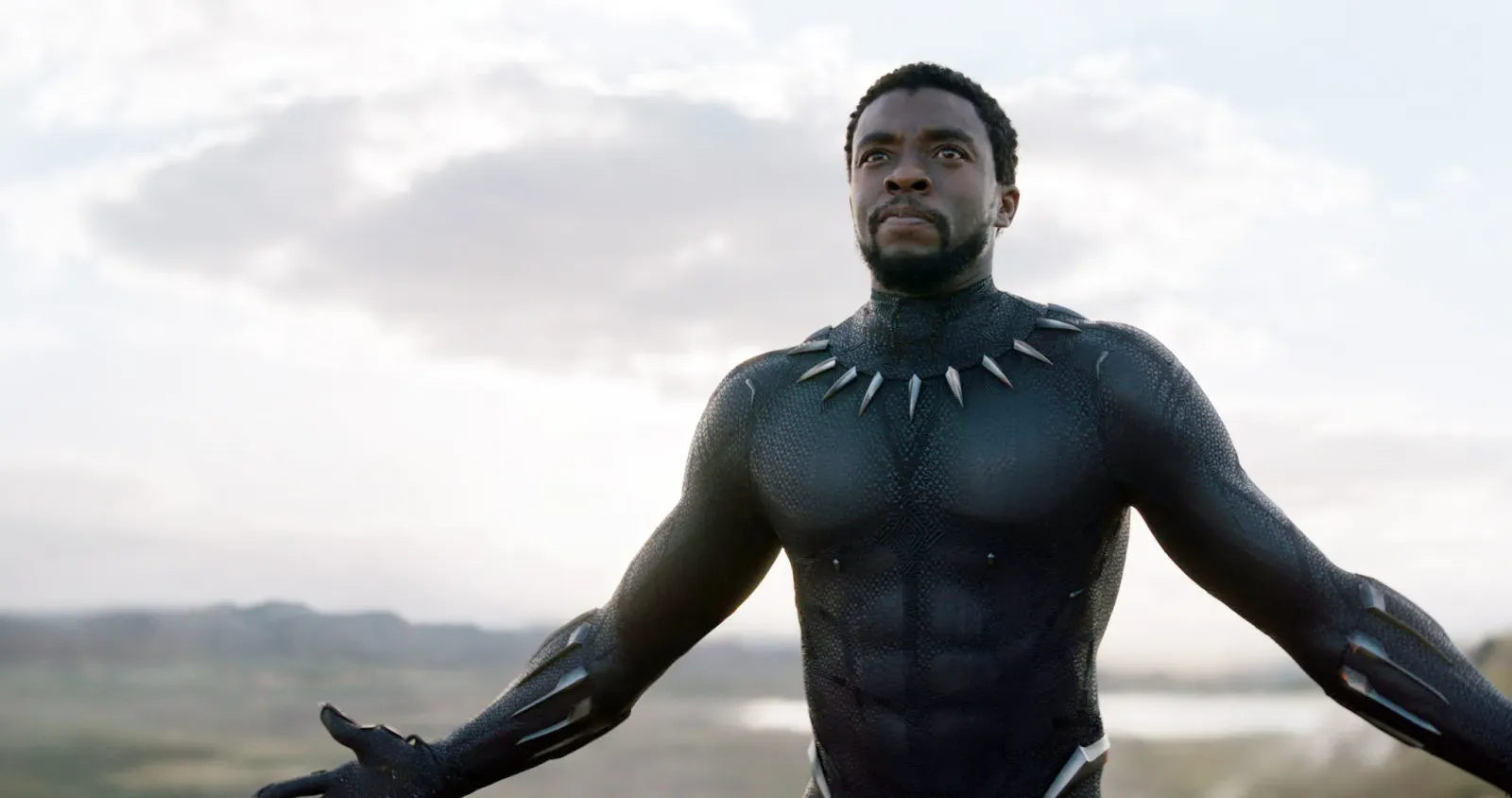 Image - Black Panther Marvel viserait déjà