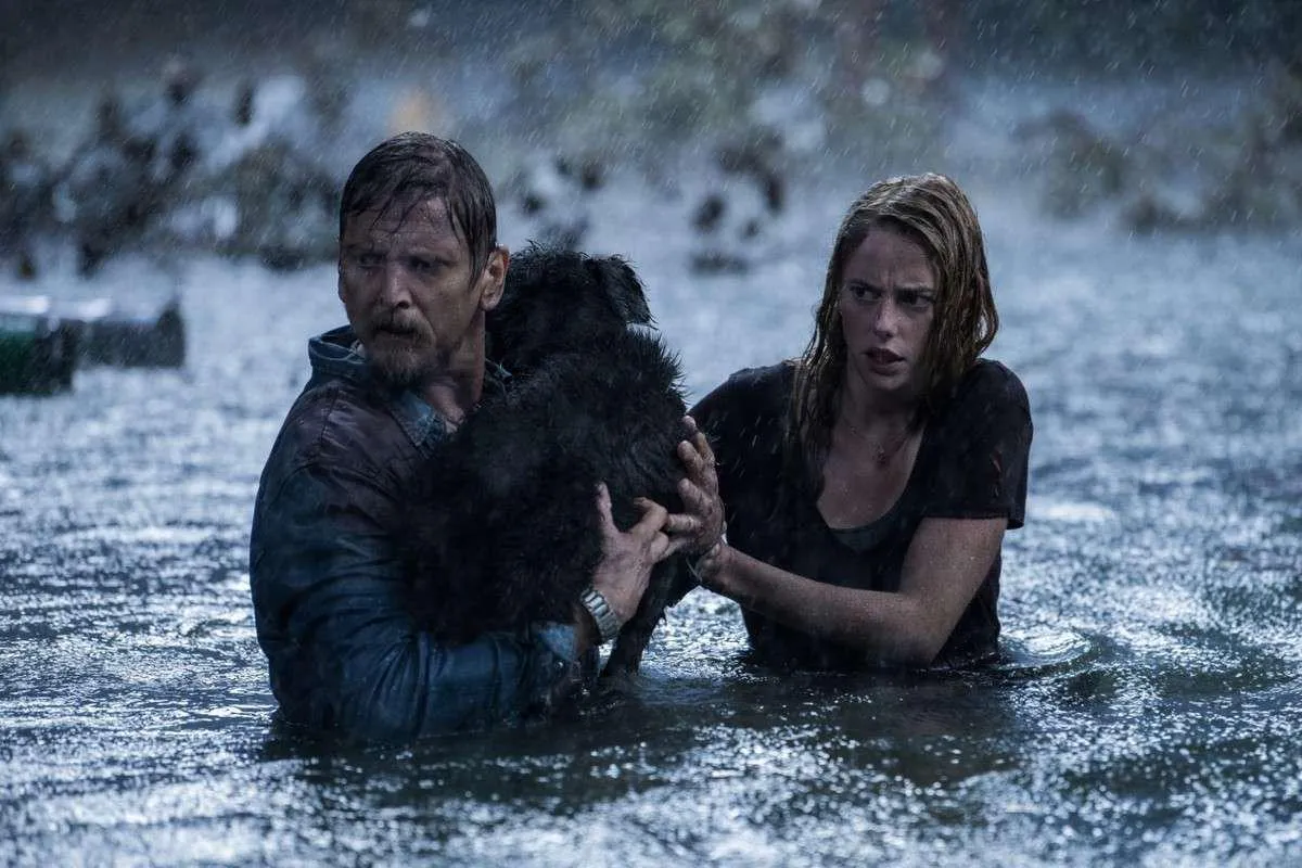 Image - Crawl Sam Raimi confirme nouvel