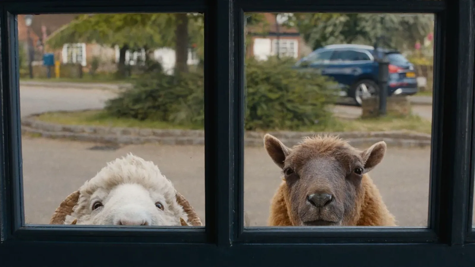 Image - Critique des Moutons détectives Hugh