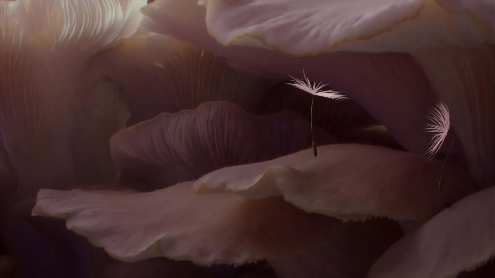 Image - Planètes L'ovni d'animation sensoriel qui