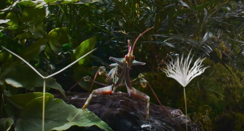 Image - Planètes L'ovni d'animation sensoriel qui