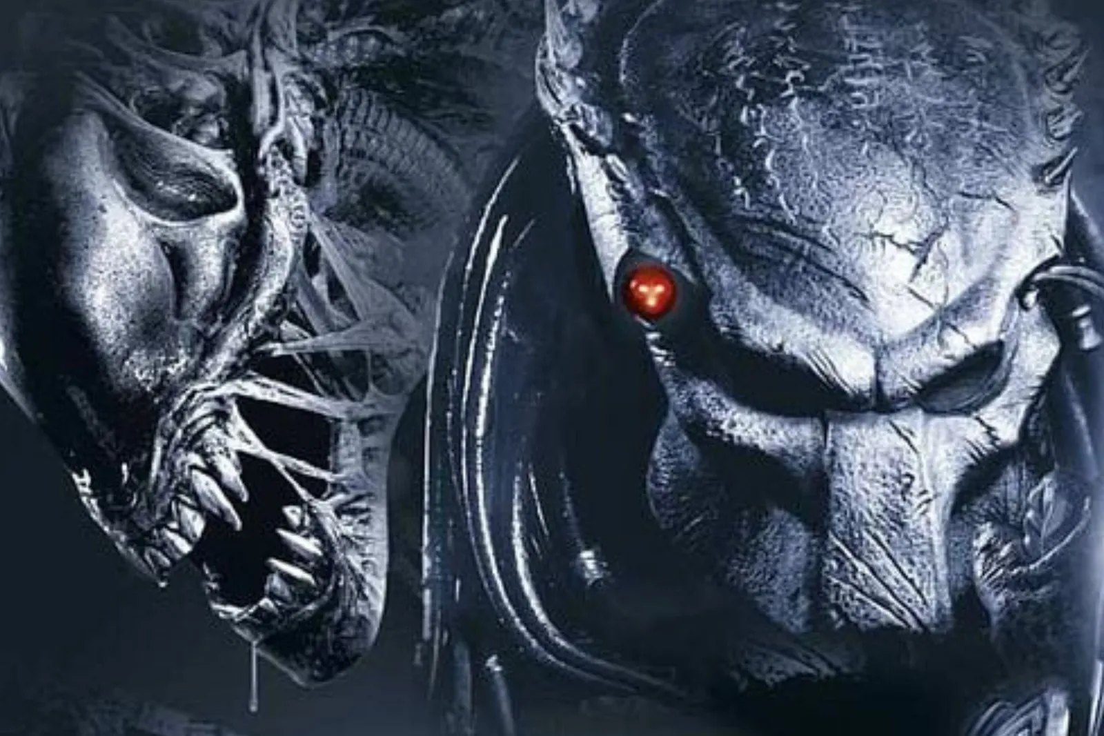 Artwork - Predator dans quel ordre regarder