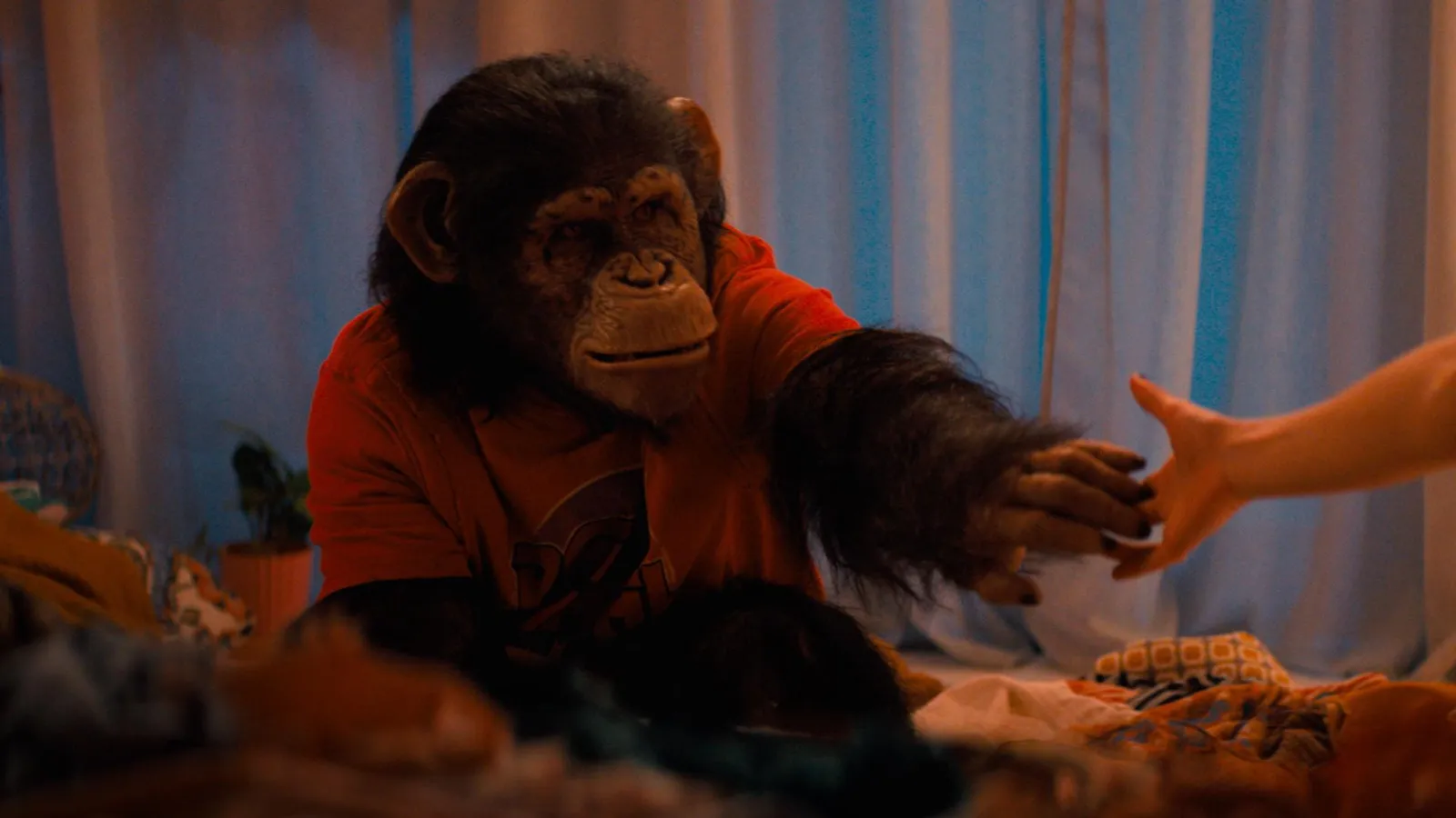 Image - Primate Les premières critiques annoncent