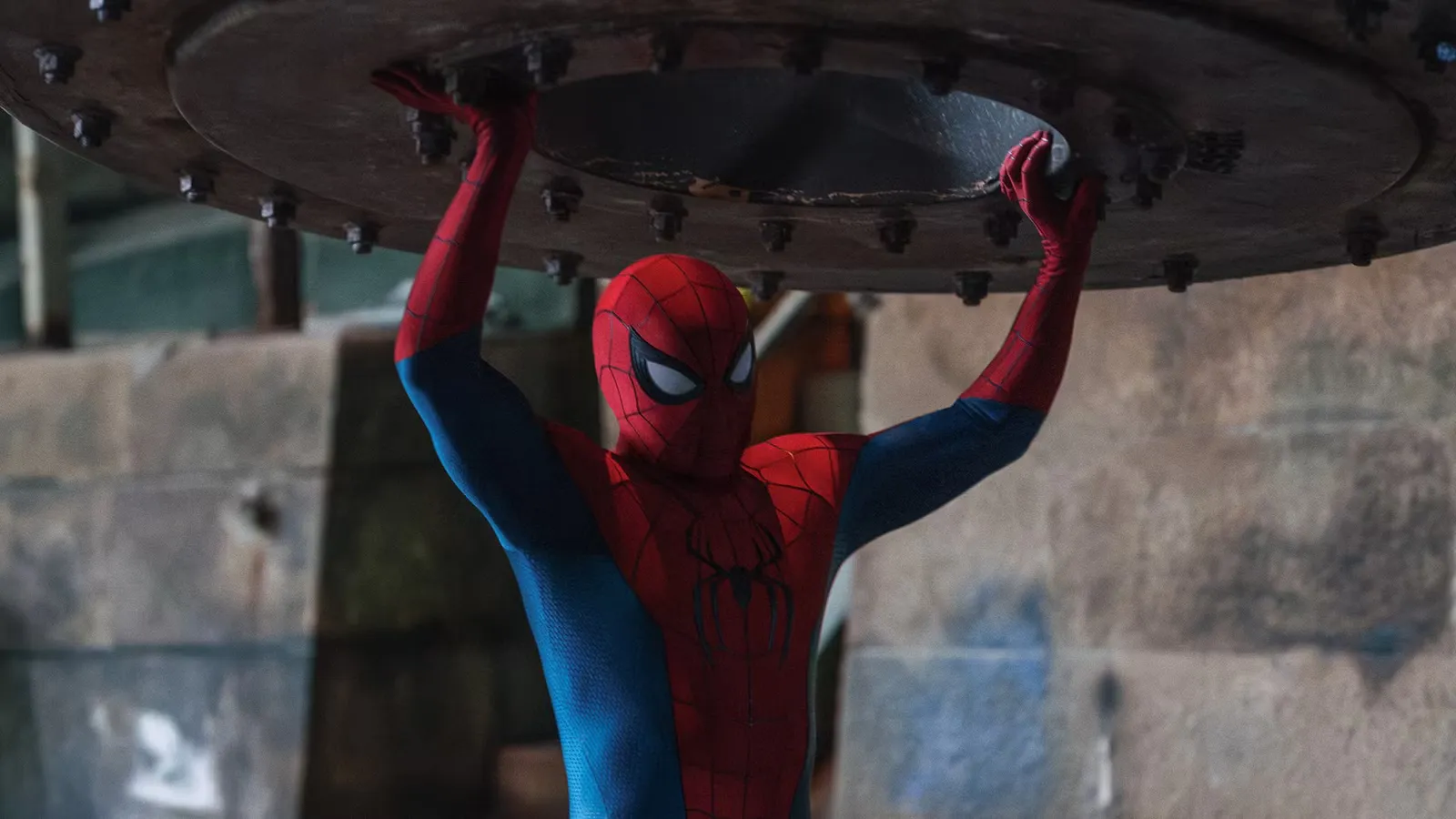 Image - Spider man brand day michael