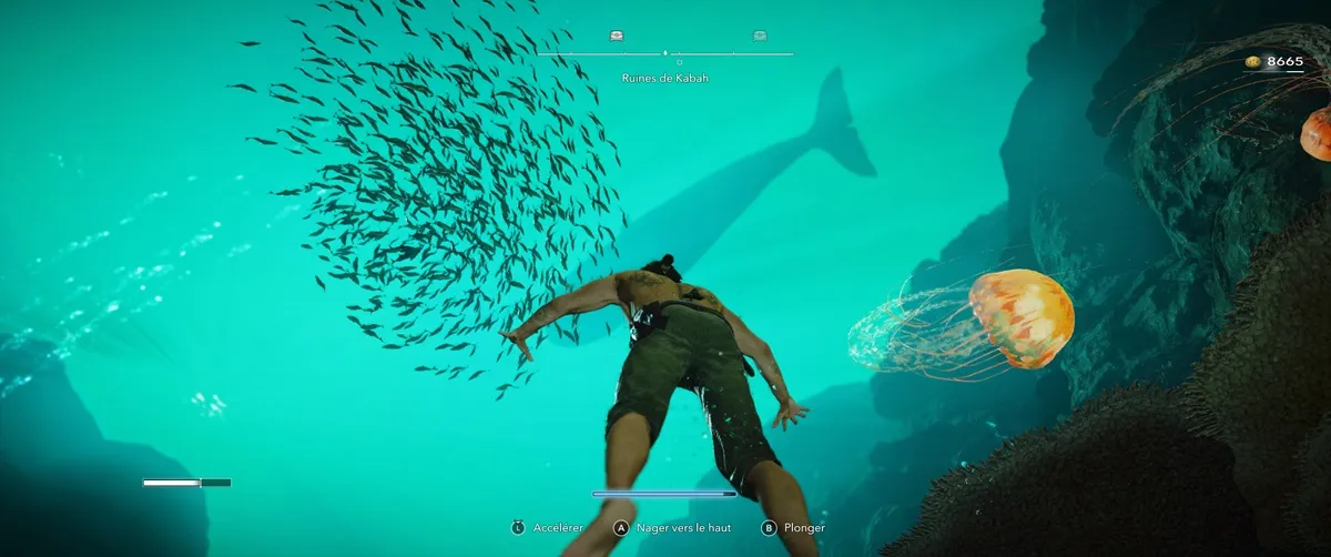 Image - TEST Assassin’s Creed Black Flag